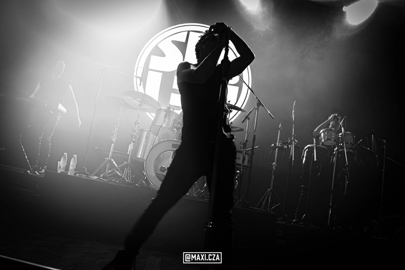 Show 8